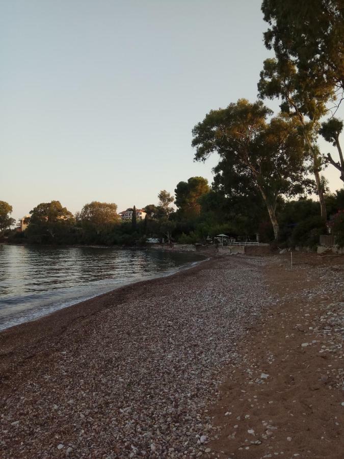 Ferienwohnung Petalidi Fragkos Exterior foto